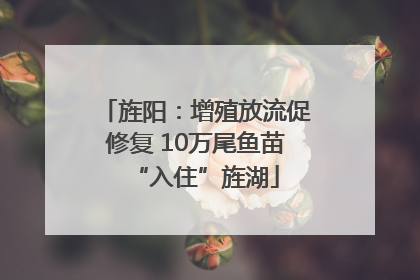 旌阳：增殖放流促修复 10万尾鱼苗“入住”旌湖