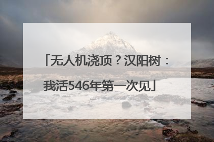 无人机浇顶？汉阳树：我活546年第一次见