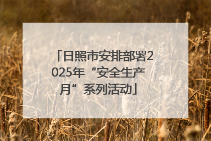 日照市安排部署2025年“安全生产月”系列活动
