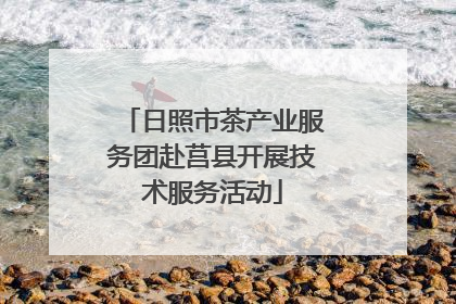 日照市茶产业服务团赴莒县开展技术服务活动