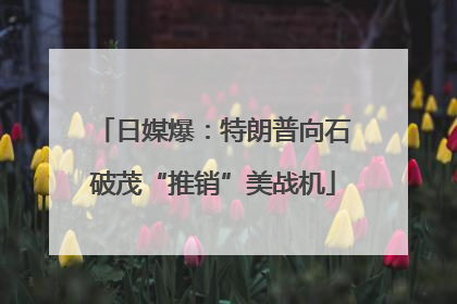 日媒爆：特朗普向石破茂“推销”美战机