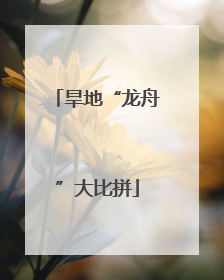 旱地“龙舟”大比拼