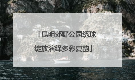 昆明郊野公园绣球绽放演绎多彩夏韵
