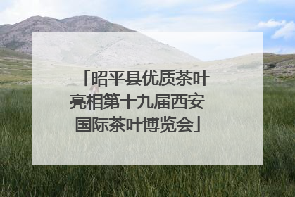 昭平县优质茶叶亮相第十九届西安国际茶叶博览会