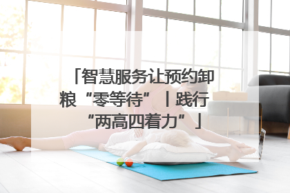 智慧服务让预约卸粮“零等待”丨践行“两高四着力”