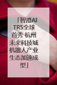 智澄AITR5全球首秀 杭州未来科技城机器人产业生态加速成型
