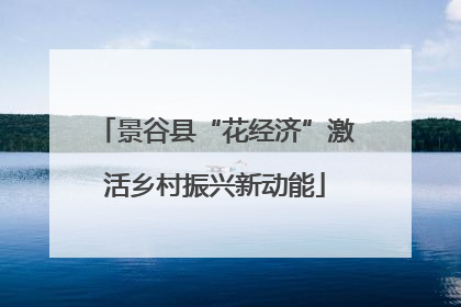 景谷县“花经济”激活乡村振兴新动能