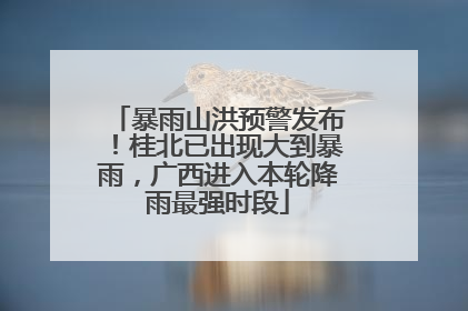 暴雨山洪预警发布！桂北已出现大到暴雨，广西进入本轮降雨最强时段