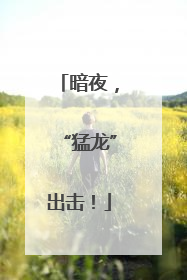 暗夜，“猛龙”出击！