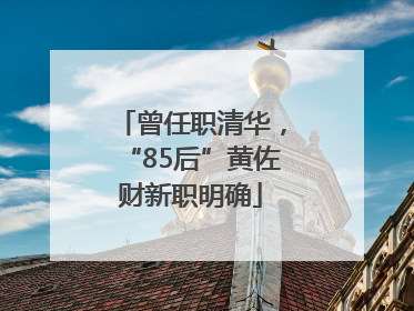 曾任职清华，“85后”黄佐财新职明确