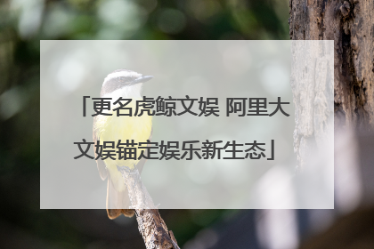 更名虎鲸文娱 阿里大文娱锚定娱乐新生态