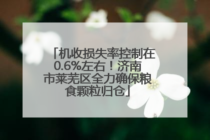 机收损失率控制在0.6%左右！济南市莱芜区全力确保粮食颗粒归仓