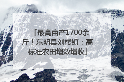 最高亩产1700余斤！东明县刘楼镇：高标准农田增效增收