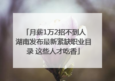 月薪1万2招不到人 湖南发布最新紧缺职业目录 这些人才吃香