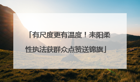 有尺度更有温度！耒阳柔性执法获群众点赞送锦旗