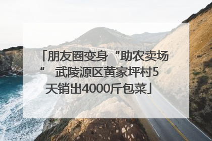 朋友圈变身“助农卖场” 武陵源区黄家坪村5天销出4000斤包菜