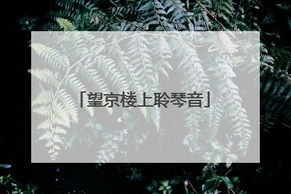 望京楼上聆琴音