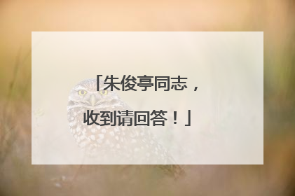 朱俊亭同志，收到请回答！