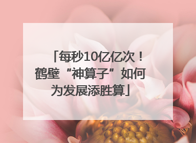 每秒10亿亿次！鹤壁“神算子”如何为发展添胜算