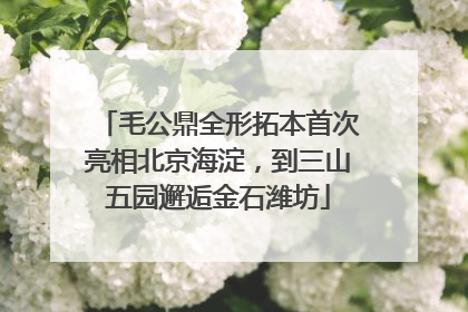 毛公鼎全形拓本首次亮相北京海淀，到三山五园邂逅金石潍坊