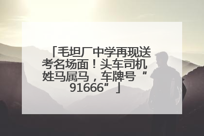 毛坦厂中学再现送考名场面！头车司机姓马属马，车牌号“91666”