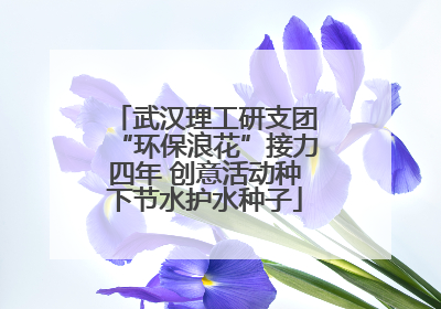 武汉理工研支团“环保浪花”接力四年 创意活动种下节水护水种子