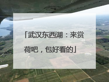 武汉东西湖：来赏荷吧，包好看的