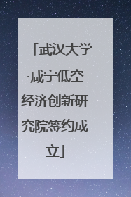 武汉大学·咸宁低空经济创新研究院签约成立
