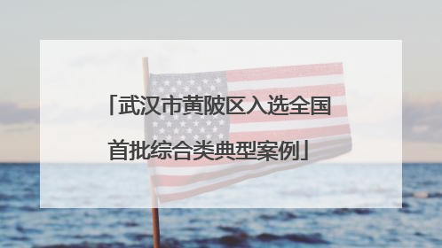 武汉市黄陂区入选全国首批综合类典型案例