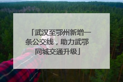 武汉至鄂州新增一条公交线，助力武鄂同城交通升级