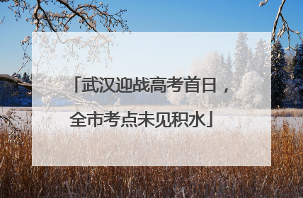 武汉迎战高考首日，全市考点未见积水