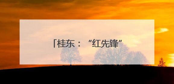 桂东：“红先锋”邓耀明的油茶梦