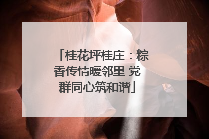 桂花坪桂庄：粽香传情暖邻里 党群同心筑和谐