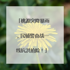 桃源突降暴雨，民辅警奋战一线抗洪抢险！