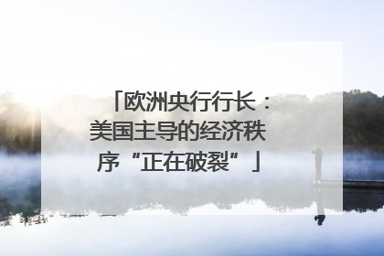 欧洲央行行长：美国主导的经济秩序“正在破裂”