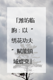 潍坊临朐：以“绣花功夫”赋能镇域蝶变