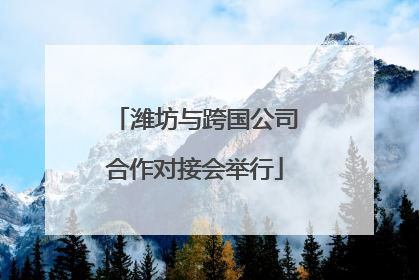 潍坊与跨国公司合作对接会举行