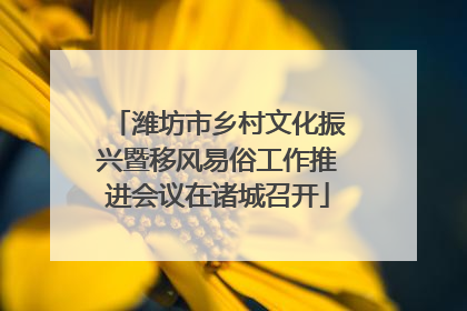 潍坊市乡村文化振兴暨移风易俗工作推进会议在诸城召开