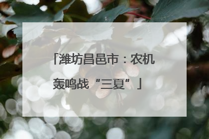 潍坊昌邑市：农机轰鸣战“三夏”