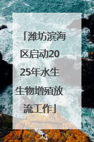潍坊滨海区启动2025年水生生物增殖放流工作