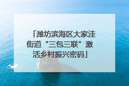 潍坊滨海区大家洼街道“三包三联”激活乡村振兴密码
