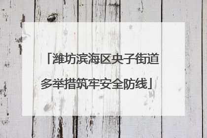 潍坊滨海区央子街道多举措筑牢安全防线