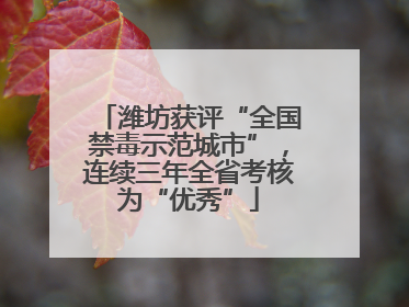 潍坊获评“全国禁毒示范城市”，连续三年全省考核为“优秀”