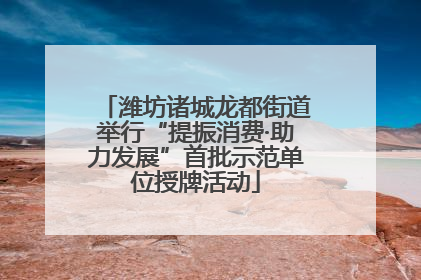 潍坊诸城龙都街道举行“提振消费·助力发展”首批示范单位授牌活动