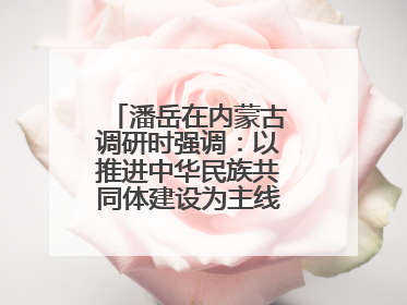 潘岳在内蒙古调研时强调：以推进中华民族共同体建设为主线推动边疆民族地区高质量发展