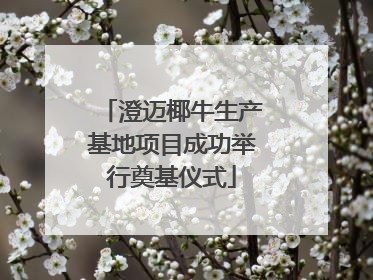 澄迈椰牛生产基地项目成功举行奠基仪式