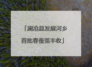 澜沧县发展河乡首批春蚕茧丰收