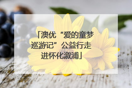 澳优“爱的童梦巡游记”公益行走进怀化溆浦