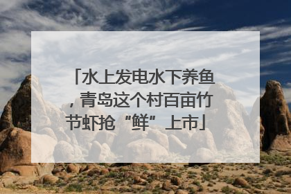 水上发电水下养鱼，青岛这个村百亩竹节虾抢“鲜”上市