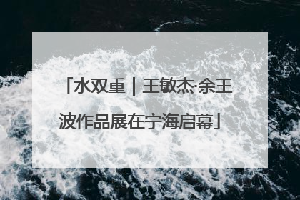 水双重｜王敏杰·余王波作品展在宁海启幕